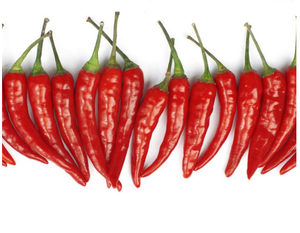 พริกร้อนพริก, พริกขี้หนูพริกขี้หนูสกัดแคปไซซินแคปไซซิน nonivamide <span class=keywords><strong>dihydrocapsaicin</strong></span> - Product Image 3