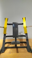 Future Offres Spéciales Commercial Haute Qualité Exercice Fitness Equipment Body Building Biceps Machine