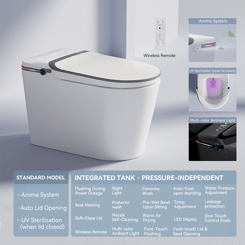 High-end version + water tank