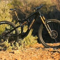 VTT électrique en fibre de carbone Amflow PL Carbon Pro 2025 avec moteur central 800Wh, batterie au lithium 12 vitesses et suspension intégrale