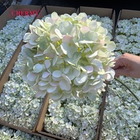 DC093 Fleur artificielle grande hortensia en soie dégradé vert, très demandée pour la décoration de table de mariage, commande en gros