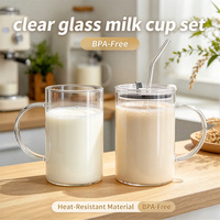 Tasse à boisson en verre borosilicate transparent, grande, faite à la main, écologique, avec couvercle, paille et poignée – Meilleure vente