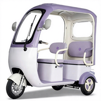Tricycle électrique 48V 800W pour adultes, couleur personnalisable avec auvent coupe-vent