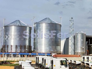 Silos de stockage de maïs en acier d'une capacité de 1000 tonnes - Product Image 5