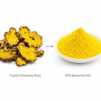LCHBIO – Poudre de Berbérine HCl 97 % en vrac, qualité pharmaceutique, soutien métabolique supérieur, sensibilité à l'insuline, extrait de racine