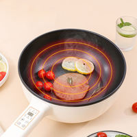 Vente d'usine Pot électrique 4L 1500W cuisine domestique électrique Portable cuisson poêles Pot