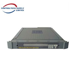 Ensemble de terminaison d'output numérique ICS TRIPLEX T8403CX - 8 canaux doubles, 24V Haute fiabilité pour le contrôle industriel - Product Image 2