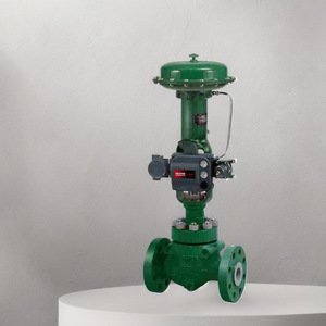 Vanne de régulation Fisher à proportionnalité constante pour vapeur et eau haute pression, usage en centrale électrique - Product Image 2