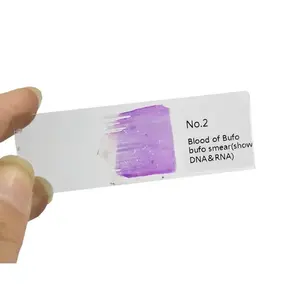 Juego de 14 portaobjetos de microscopio preparados Genética Diapositivas preparadas Clases de cromosomas humanos Enseñanza - Product Image 1