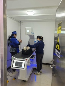 Veterinary CT Scan Machine <strong>X</strong>-<strong>Ray</strong> <strong>Equipment</strong> for Animal Hospital Clinic Medical Diagnosis - Product Image 5