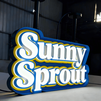 Lettres de logo en acrylique 3D miniatures, rétroéclairées et éclairées par l'avant, enseigne lumineuse pour la publicité murale