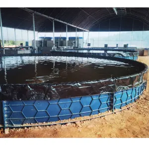 Kendi tasarım Aquaponics tuzlu su ticari balık tankı su ürünleri Tilapia tarım ekipmanları