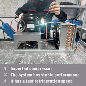 Réfrigérateur de présentation pour viande, construction robuste, anti-corrosion, <span class=keywords><strong>boucherie</strong></span>, réfrigérateur commercial, usine chinoise - Product Image 2