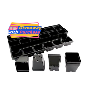 Pots à fleurs en plastique de couleur noire, jardinières, plateaux pour pots, petits pots carrés pour plantes succulentes - Product Image 1