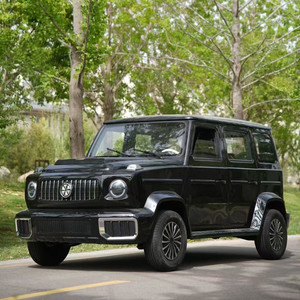 <span class=keywords><strong>Furgone</strong></span> Elettrico a Cinque Posti con Motore da 3500W, Nuova Energia, Bassa Velocità, Trazione Integrale, Batteria al Litio e Cambio - Product Image 2