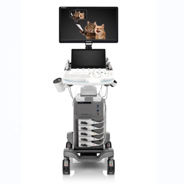4D/5D Ultrasound Machine Veterinary/17Mhz High Frequency Ultrasound SonoScape Ultrasound Imaging Diagnosis