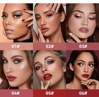Mini Coffret de Rouges à Lèvres Végans de Luxe Rouge Nude Étanche Longue Tenue en Gros Rouge à Lèvres Liquide Velours Mat Personnalisé Marque Privée