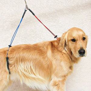Tali kekang perawatan hewan anjing kucing, dapat diatur meja perawatan hewan peliharaan tali meja d-cincin mandi tali pengikat leher anjing - Product Image 4