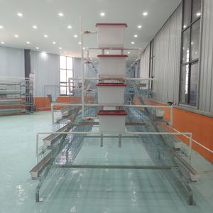 Gabbia per Galline Ovaiole in Acciaio Zincato a Caldo per Allevamento di Pollame, Gabbie per Uova in Vendita - Product Image 3