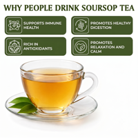 Teh Herbal Sirsak OEM/ODM Daun Kering untuk Detoks Kesehatan Manfaat Antioksidan Teh Alami Kelas Atas