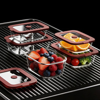 Boîte à lunch en verre borosilicate, récipient alimentaire compatible micro-ondes avec couvercle hermétique, idéal pour la cuisine et le camping
