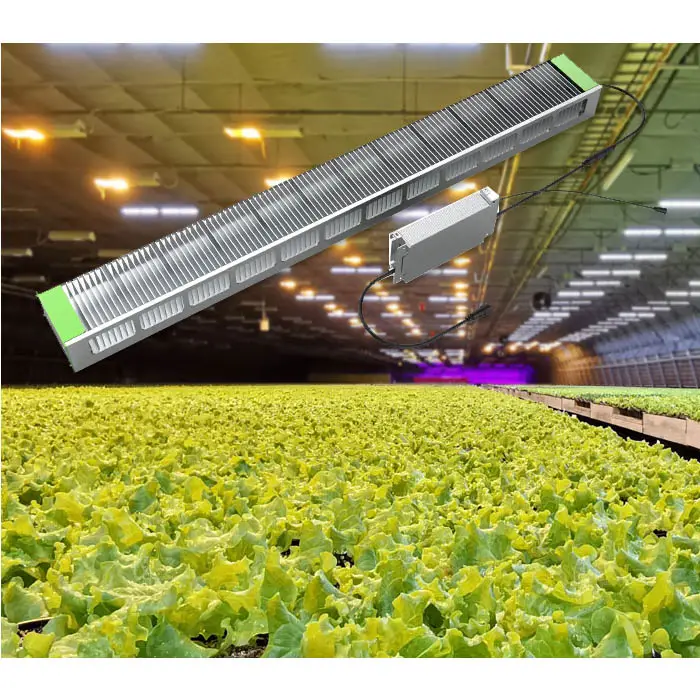 2022 best 840w greenhouse farm full Spectrum plants Dimmable LED Grow Lights