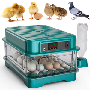 Incubateur solaire spécifique pour l'Afrique avec double alimentation, adapté aux environnements à haute température et utilisable dans les zones éloignées - Product Image 5
