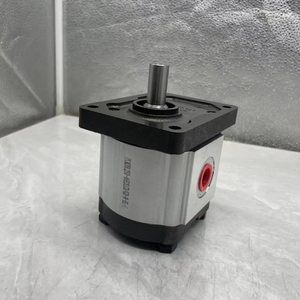 Bomba de Engranajes Hidráulicos Serie PLM PLP PLP30 PLP20 PLP10 PLM20, Modelo PLM20L2S0-46E2LCD/GD-N-EL-C de Alta Presión - Product Image 1