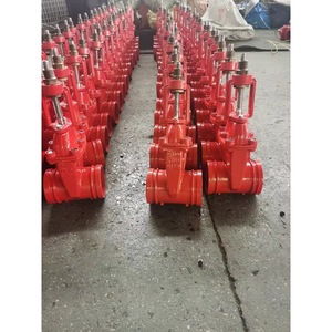 Vanne à opercule Longyao Shuangyong Valve Manufacturing Co Ltd DN100 PN16 à joint souple flexible pour la régulation de l'eau - Product Image 2