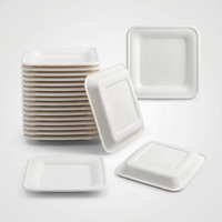 Assiettes carrées jetables biodégradables en bagasse de canne à sucre pour le service des repas