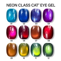 XGM NAIlS Gel UV Effet Œil de Chat Néon Glacé – Nouveau Gel Néon Effet Œil de Chat pour Service de Personnalisation de Logo Disponible