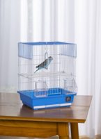 Cage à oiseaux respirante avec mangeoires externes, empêche la dispersion des aliments, habitat idéal pour les petits perroquets et les oiseaux chanteurs