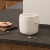 Autocuiseur multifonctionnel 2 litres avec revêtement antiadhésif pour la cuisine