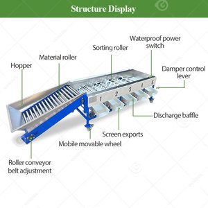 Machine de tri, de calibrage et de lavage pour tomates, dattes, fruits, myrtilles, avocats, oignons, pommes, oranges et pommes de terre - Product Image 3
