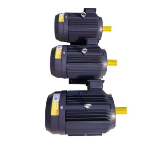 มอเตอร์เหนี่ยวนำแบบอะซิงโครนัสสามเฟสชนิดสควิร์เรล - Product Image 4