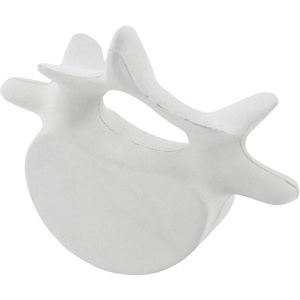 Custom Logo Vertebrae Pu Stress Relievers Stress Toy Stress <b>Ball</b> - Product Image 4
