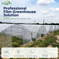 Serre agricole monopente à structure en acier galvanisé et film plastique PO pour culture toute l'année et contrôle de la température des légumes
