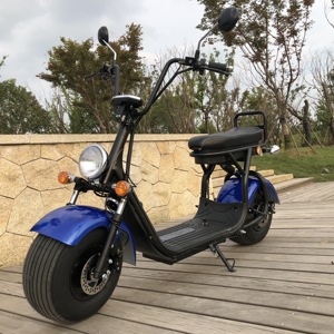 Scooter Eléctrico para Adultos en Oferta, Motocicleta de 250W - Product Image 1