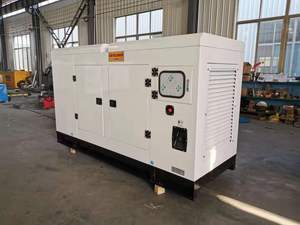 Générateur de puissance 125 KVA 100 Kw Générateur silencieux Générateur diesel Ricardo d'occasion - Product Image 6