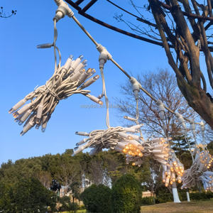 Guirnalda de Luces <span class=keywords><strong>LED</strong></span> de 3x3 <span class=keywords><strong>Metros</strong></span> y 600 Luces para Decoración Navideña de Ventanas, Fabricantes de Guirnaldas de Luces <span class=keywords><strong>LED</strong></span> en <span class=keywords><strong>Cascada</strong></span> - Product Image 1