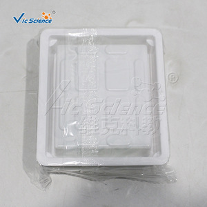 Portaobjetos de vidrio adheridos electroquímicamente, superficie hidrófila sin necesidad de lavado, adhesión celular uniforme, consumibles para diagnóstico patológico. - Product Image 5