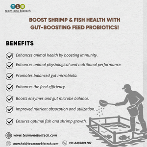 Additif d'alimentation de santé d'intestin de probiotiques pour la gestion d'étang de crevette - Product Image 1
