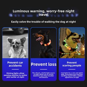 Correa LED para Mascotas con Carga USB, Collar Luminoso para Perros con Material de PVC Impermeable, Correa de Tracción para Paseos al Aire Libre, Correa LED para Perros - Product Image 4