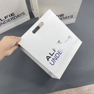 Bolsas de Regalo Ecológicas a Precio de Fábrica, Bolsas de Papel de Lujo con Asas Troqueladas y Estampado en Relieve Personalizado con Logotipo Impreso - Product Image 1