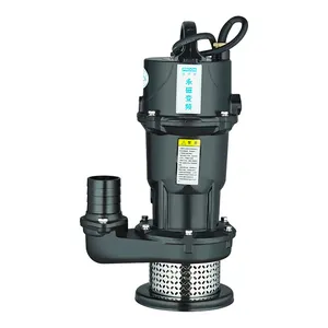 QDX25-20-2.2DCT Series Submersible Pump With Iron Casting Housing Price Of Chinese Electric Pump For Water