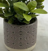 Succulentes artificielles en PE, durables, écologiques, recyclables, haute simulation, vertes toute l'année, décoration de luxe pour la maison