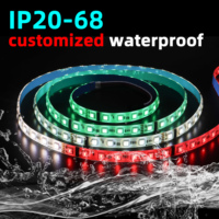 Tira de Luces LED Flexibles de Cobre SMD5050, 6000K, DMX, Direccionables, DC24V, RGBW, Programables, Iluminación de Paisaje, IP68, Impermeables, USB