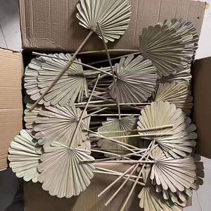 Nouveau conçu fleur séchée feuille d'éventail feuille de palmier séchée naturelle pour la décoration de fête de mariage Vase bureau maison Boho décor - Product Image 2