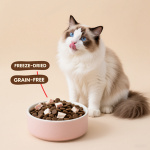 מזון יבש חלבון יבש מזון מזון בריא וטבעי מחמד מיצרנים בעלי מוניטין - Product Image 5