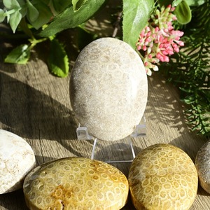 Wholesale High Quality Natural Healing Palm <strong>Stone</strong> Coral <strong>Jade</strong> Palm <strong>Stone</strong> for Home Decoration and Christmas Gifts - Product Image 4